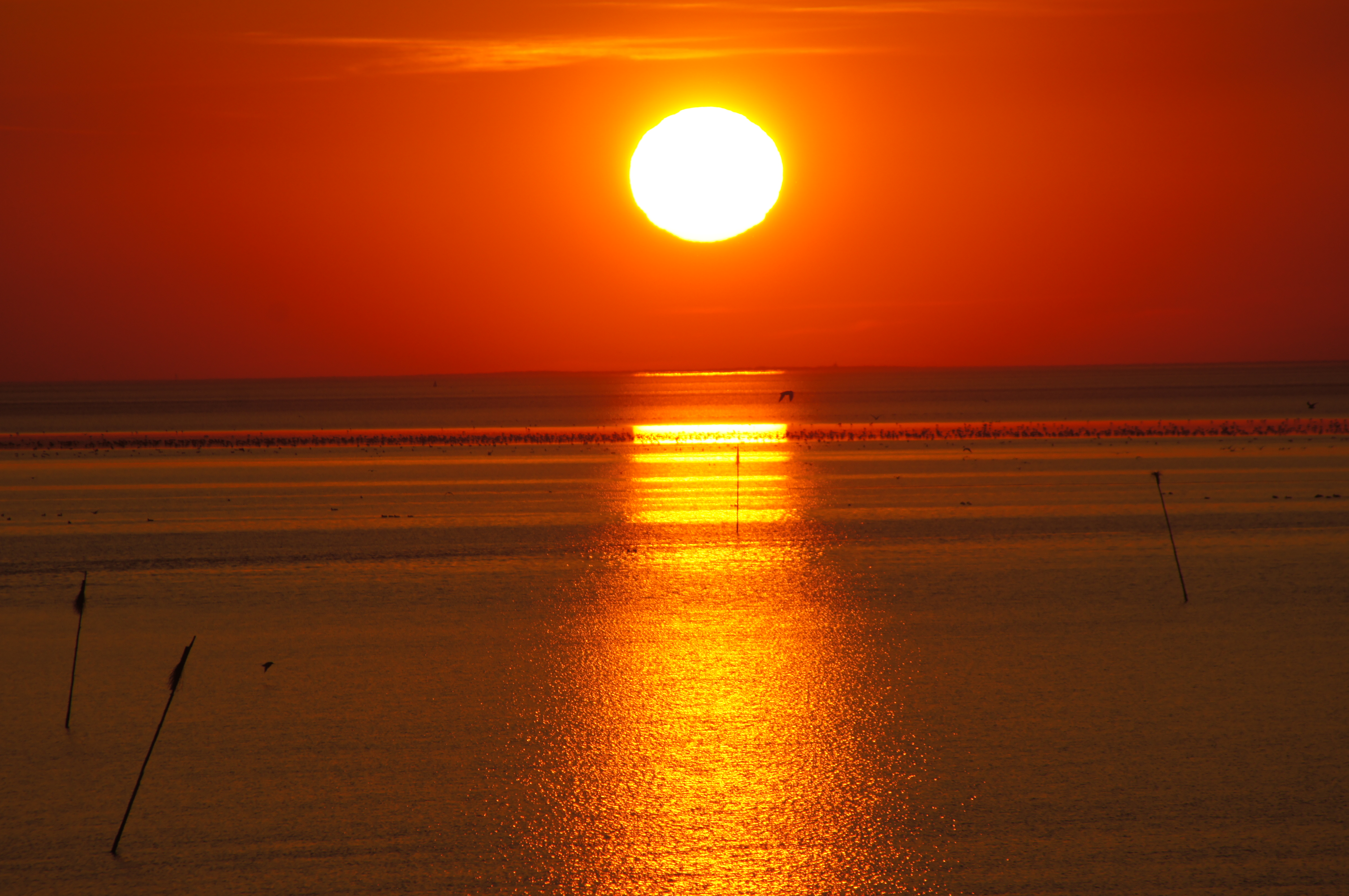 Sonnenuntergang im Wattenmeer